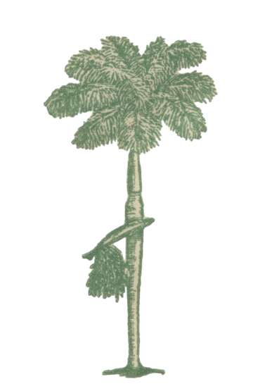 The beginnings of the SFPS